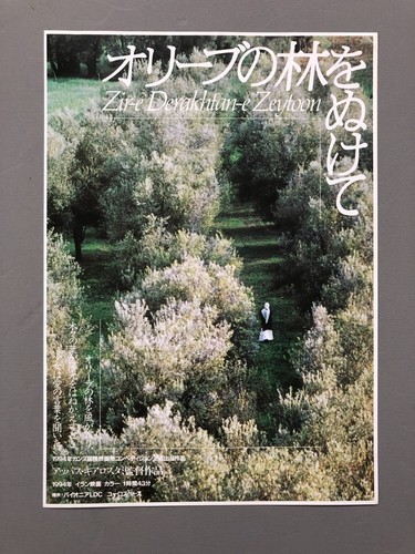 Through the olive trees abbas - olive,