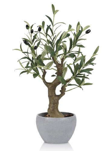 Artificial olive tree - tree, potted