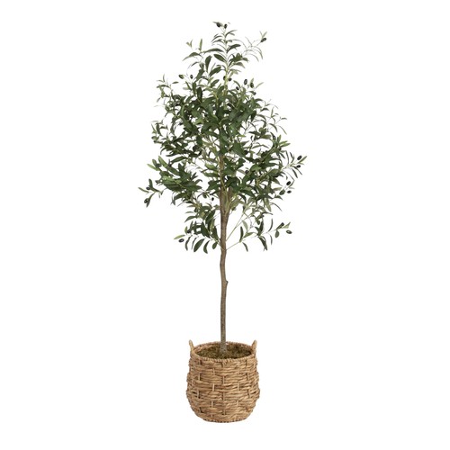 Oliveira faux olive tree - olive, with