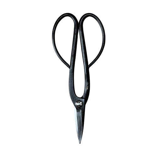Bonsai scissors asinaga - bonsai,