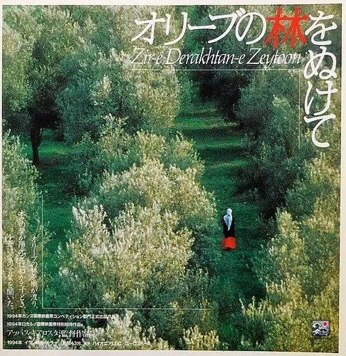 Through the olive - the, trees