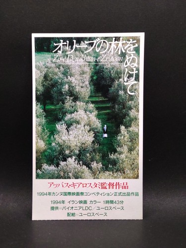 Through the olive trees 1994 - olive,